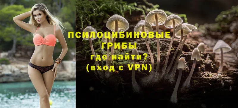 Галлюциногенные грибы MAGIC MUSHROOMS  Орск 